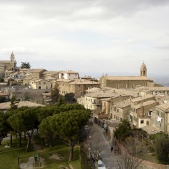 Montalcino widok z zamku