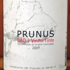 Prunus Dao 2009 Tesco wino za 20 zł