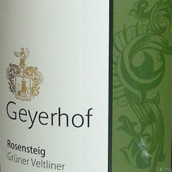 Geyerhof GV Rosensteig 2010