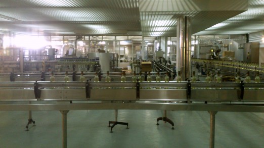 Quinta da Aveleda bottling line