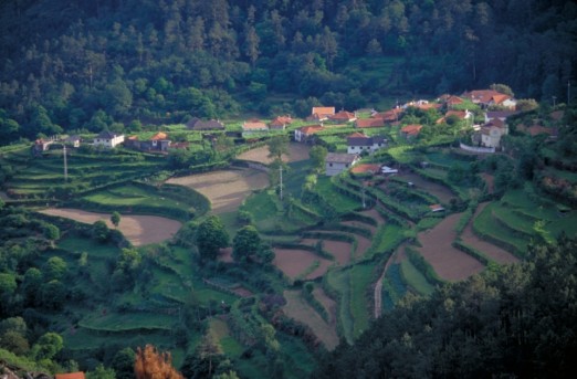 Vinho Verde Traditional Village (3)