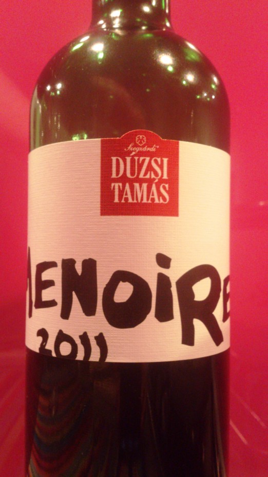 Tamas Duzsi Menoire 2011