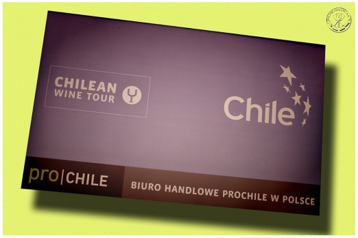 Chilean Wine Tour 2013