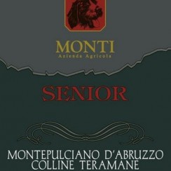 Monti Montepulciano d'Abruzzo Colline Teramane Senior