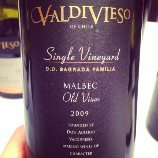 Valdivieso Single Vineyard Old Vines Malbec 2009