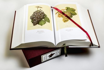 CT food-wine-robinson-book009.jpg