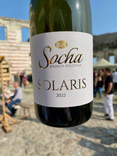 Socha Winnica Rodzinna Solaris 2022